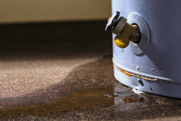 Best Water damage contractors near me  in Faith, NC
