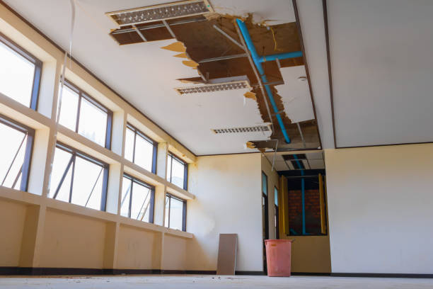 Best Local water damage restoration  in Faith, NC
