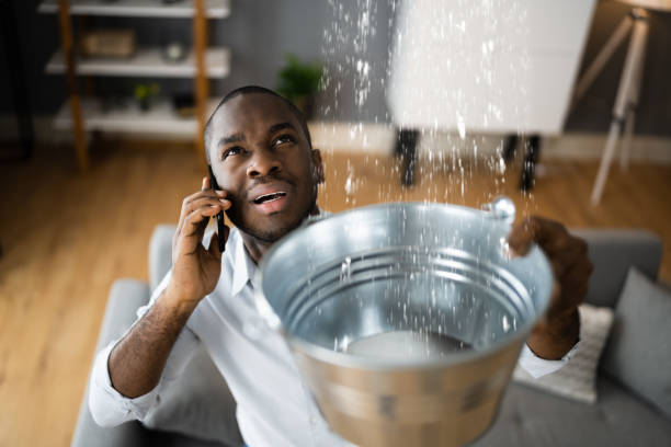 Best Water damage restoration near me  in Faith, NC