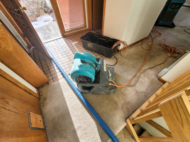 Best Water damage restoration near me  in Faith, NC