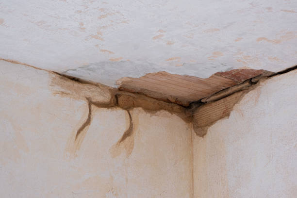 Best Carpet water damage restoration  in Faith, NC