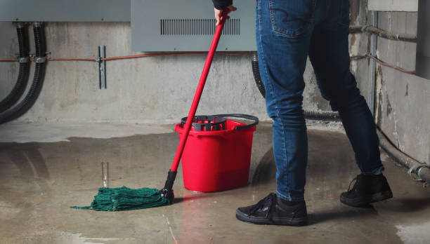 Best Ceiling water damage repair  in Faith, NC