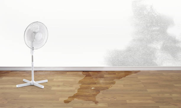 Best Emergency water damage restoration  in Faith, NC
