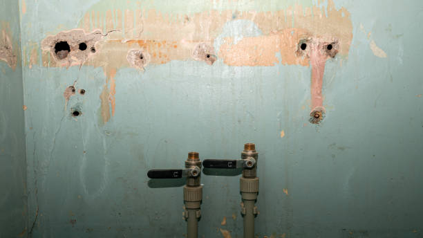 Best Flooded house restoration  in Faith, NC