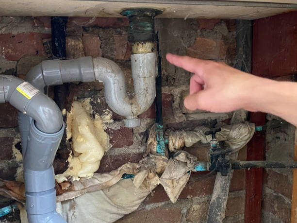 Best Sewage cleanup and water damage restoration  in Faith, NC